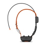 Koera GPS-kaelarihm GARMIN TT25