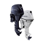 Outboard engine TOHATSU MFS30CW EPTL