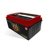 Liitiumaku PERFEKTIUM PF-300 LiFePO4 300Ah 12.8V